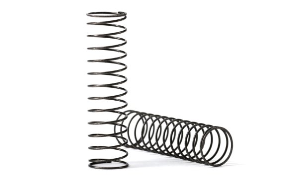 画像1: 0.095rate shock spring (2個) (1)